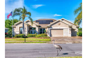 9172 130TH LOOP, SUMMERFIELD, FL 34491 Sold 06/09/25