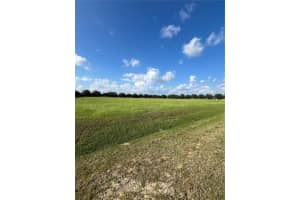 TBD 54 LOOP, OCALA, FL 34482 - MLS#MFROM697970