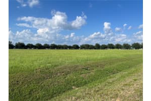 TBD 54 LOOP, OCALA, FL 34482 - MLS#MFROM697970