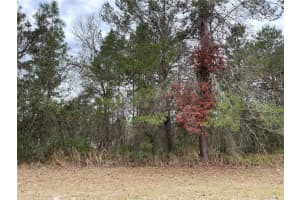 0 75TH CIRCLE, OCALA, FL 34473 Sold 04/30/25