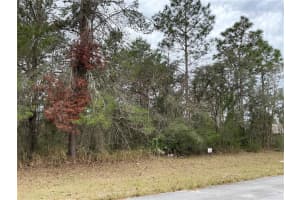 0 75TH CIRCLE, OCALA, FL 34473 Sold 04/30/25