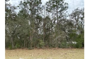 0 75TH CIRCLE, OCALA, FL 34473 Sold 04/30/25