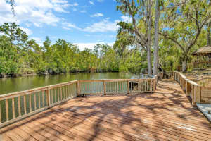 1401 RIVERHILLS DRIVE, TEMPLE TERRACE, FL 33617 Sold 06/03/25