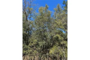 TBA 55TH STREET, OCALA, FL 34481 Sold 04/21/25
