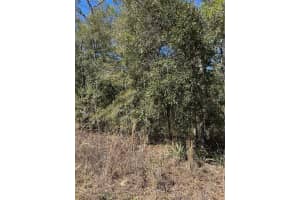 TBA 55TH STREET, OCALA, FL 34481 Sold 04/21/25