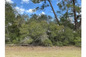 0 152ND LANE, OCALA, FL 34473 Sold 08/05/25