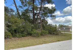 0 152ND LANE, OCALA, FL 34473 Sold 08/05/25