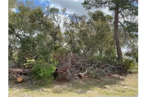 0 154TH PLACE ROAD, OCALA, FL 34473 Sold 04/29/25