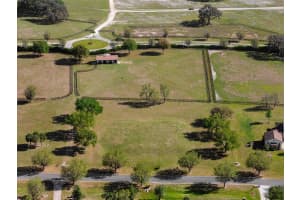 12350 140TH LOOP, DUNNELLON, FL 34432 - MLS#MFROM698306