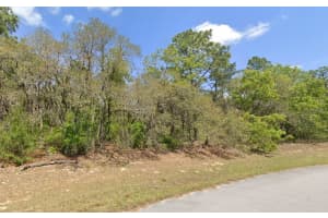 SW 153 LANE RD, OCALA, FL 34473 - MLS#MFROM698325
