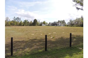 12950 49TH STREET, WILLISTON, FL 32696 Sold 08/28/25