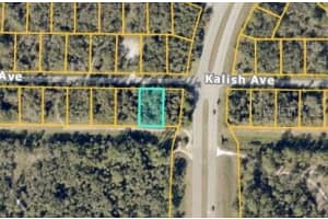 TBD KALISH AVENUE, NORTH PORT, FL 34286 Sold 09/09/25