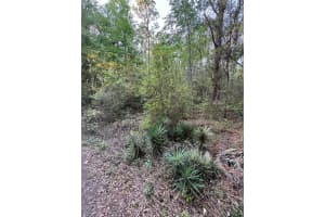 TBD 21ST. STREET, OCALA, FL 34481 Sold 05/26/25