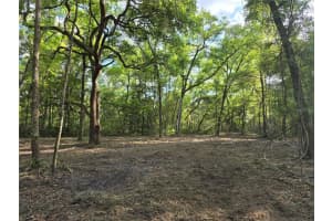 NW 7TH PL, OCALA, FL 34482 Sold 05/30/25