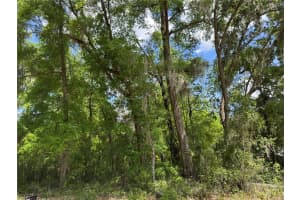 TBD CLEARWATER COURT, DUNNELLON, FL 34431 - MLS#MFROM698478