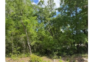 TBD CLEARWATER COURT, DUNNELLON, FL 34431 - MLS#MFROM698478