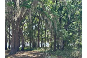 TBD CLEARWATER COURT, DUNNELLON, FL 34431 - MLS#MFROM698478