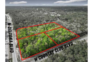 8808 DELTONA BOULEVARD, CITRUS SPRINGS, FL 34434 - MLS#MFROM698496