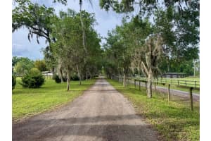 5637 165TH STREET, REDDICK, FL 32686 Sold 09/04/25