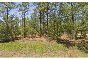 00 AMBERJACK AVENUE, DUNNELLON, FL 34431 Sold 05/06/25