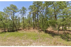 00 AMBERJACK AVENUE, DUNNELLON, FL 34431 Sold 05/06/25