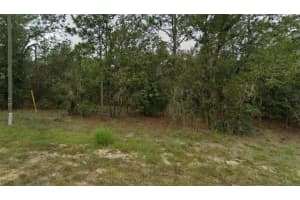 NE 154TH AVE #64, WILLISTON, FL 32696 Sold 08/15/25