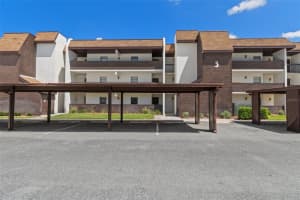 3 Cypress Run #34a, HOMOSASSA