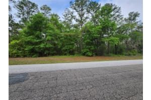 1629 CITRUS SPRINGS BOULEVARD, DUNNELLON, FL 34434 - MLS#MFROM698653