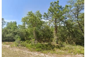 00 MARINE BOULEVARD, DUNNELLON, FL 34431 Sold 07/03/25