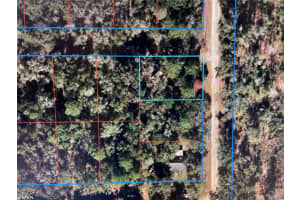 15990 11TH STREET, WILLISTON, FL 32696 Sold 07/24/25