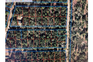 15990 11TH STREET, WILLISTON, FL 32696 Sold 07/24/25