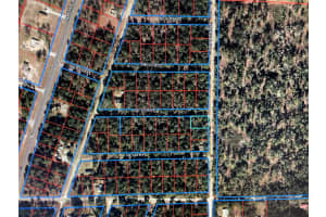 15990 11TH STREET, WILLISTON, FL 32696 Sold 07/24/25
