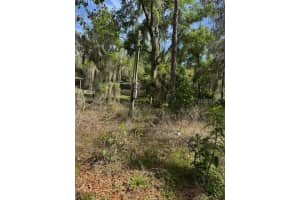 89 156TH COURT, OCALA, FL 34481 Sold 04/28/25