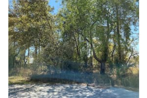 10 HEMLOCK LOOP PASS, OCALA, FL 34472 Sold 04/21/25