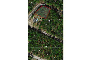 8536 LINWOOD LOOP, CITRUS SPRINGS, FL 34433 Sold 04/30/25