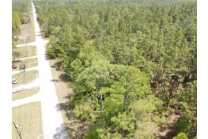 SW 59 LN, DUNNELLON, FL 34431 - MLS#MFROM698729