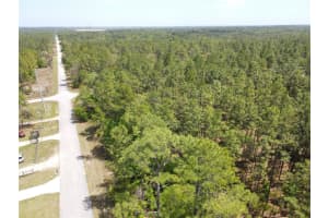 SW 59 LN, DUNNELLON, FL 34431 - MLS#MFROM698729