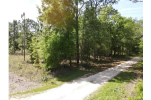 SW 29 LN, OCALA, FL 34481 - MLS#MFROM698733
