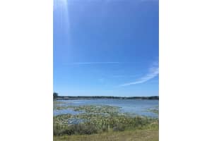 10955 TIMUCUAN ROAD, SUMMERFIELD, FL 34491 - MLS#MFROM698791