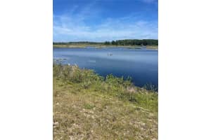 10955 TIMUCUAN ROAD, SUMMERFIELD, FL 34491 - MLS#MFROM698791