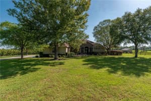 5363 153RD COURT, MORRISTON, FL 32668 - MLS#MFROM698809