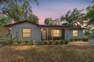 10060 Se 106th Ln, BELLEVIEW