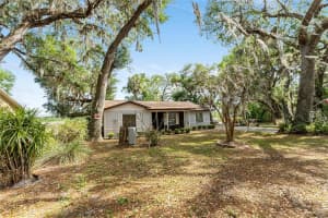 10060 106TH LANE, BELLEVIEW, FL 34420 - MLS#MFROM698860