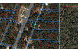 TBD BOROS DR & 11TH PLACE, WILLISTON, FL 32696 Sold 04/30/25