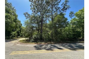 TBD BOROS DR & 11TH PLACE, WILLISTON, FL 32696 Sold 04/30/25