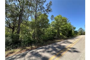 TBD BOROS DR & 11TH PLACE, WILLISTON, FL 32696 Sold 04/30/25