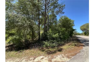 TBD BOROS DR & 11TH PLACE, WILLISTON, FL 32696 Sold 04/30/25