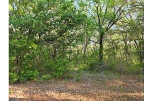 SW SEA CLIFF DRIVE, DUNNELLON, FL 34431 - MLS#MFROM698882
