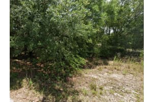 NW 52ND AVE, OCALA, FL 34482 - MLS#MFROM698887