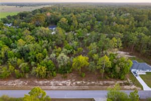 0 NW COLUMBINE AVENUE, DUNNELLON, FL 34432 - MLS#MFROM698903